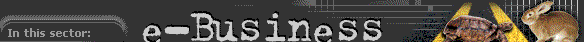 e-Business